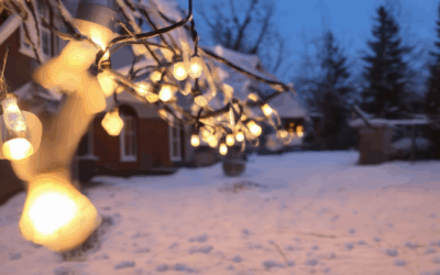 Budget-Friendly Holiday Lights: Affordable Outdoor LED Solutions for Year-Round Use